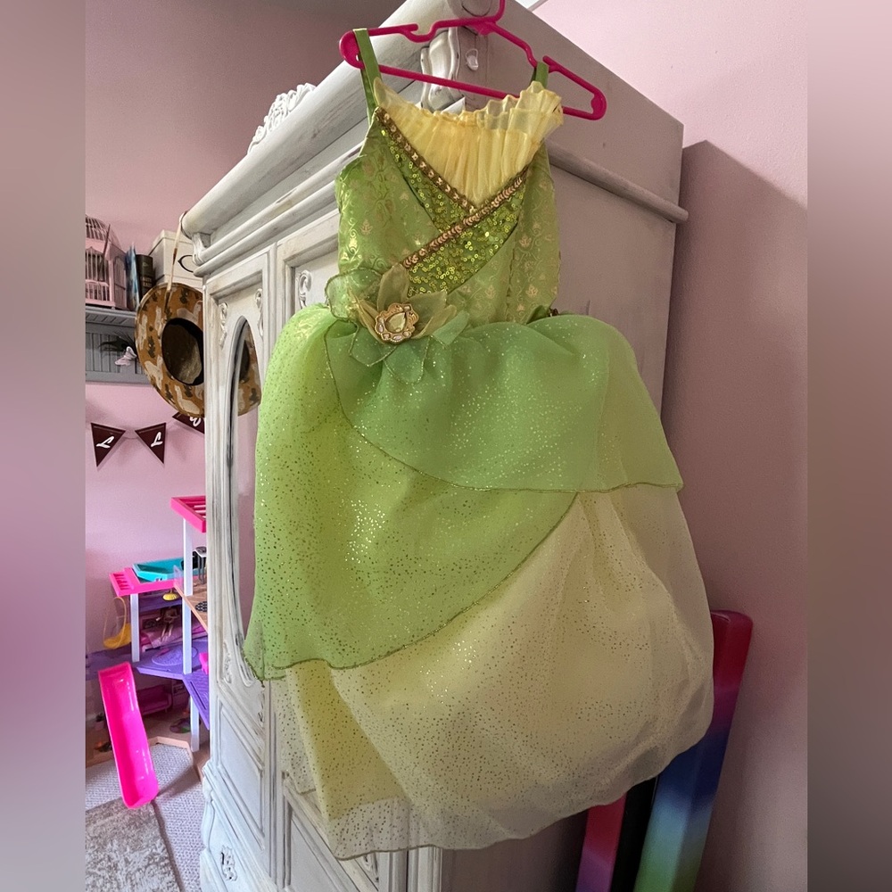 Girls 5/6 Princess and the Frog Tiana Disney dress